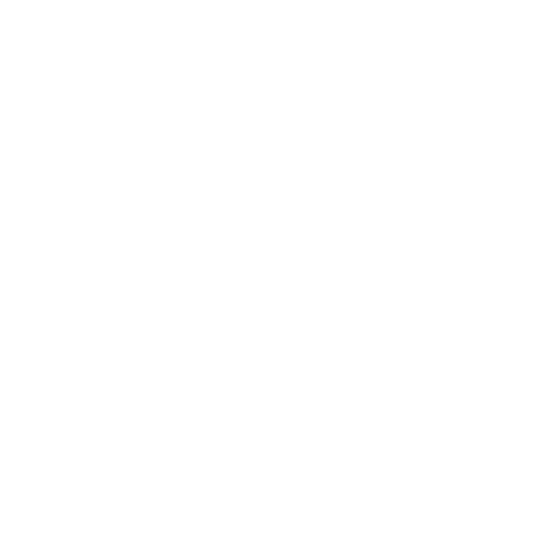 Spirit Academy