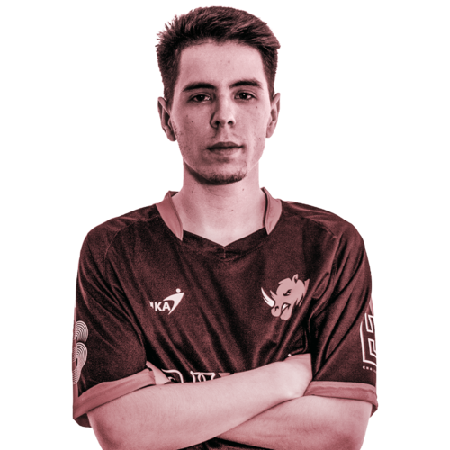 MrDiTrip