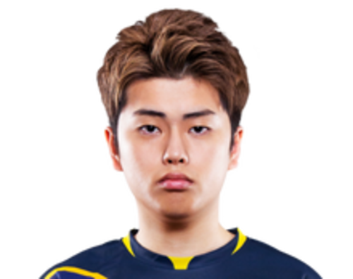 YellowYoshi