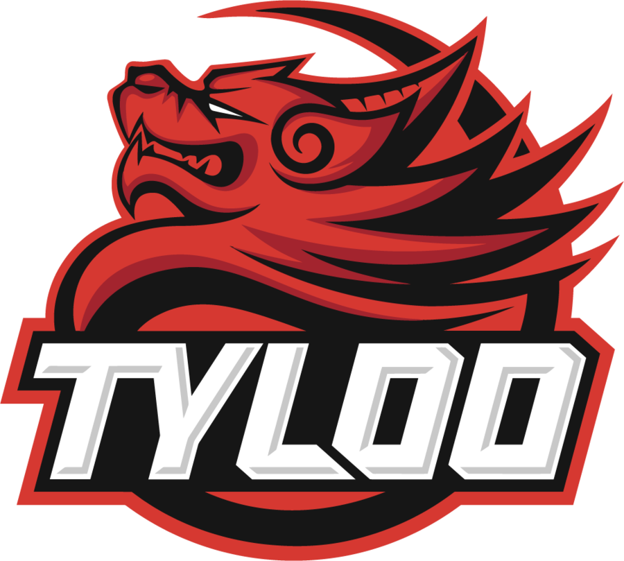 TYLOO fe