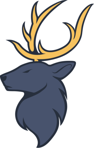 Jogadores(as) da equipe Triumph