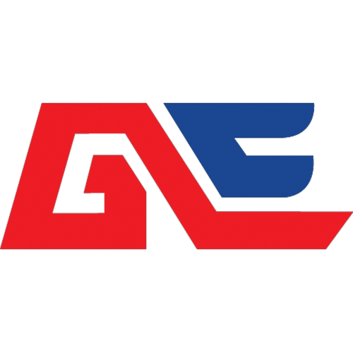 Jogadores(as) da equipe Global