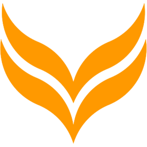 Jogadores(as) da equipe Rebirth Esports