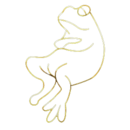 Jogadores(as) da equipe Big Chillin