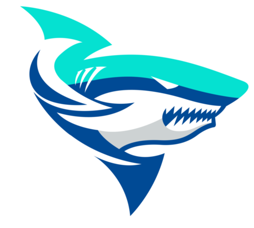 MSC THEERATHON logo
