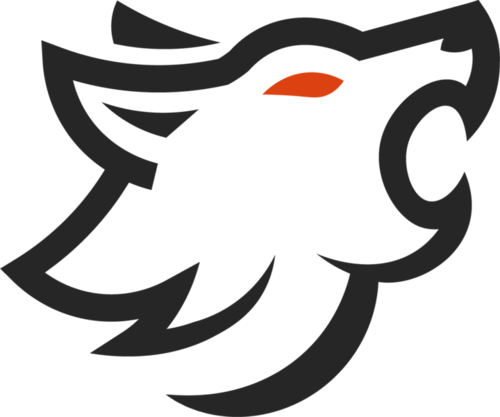 Jogadores(as) da equipe Nocturns