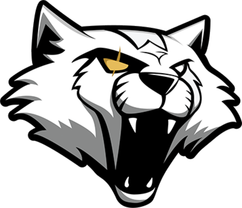 Jogadores(as) da equipe Wygers AR