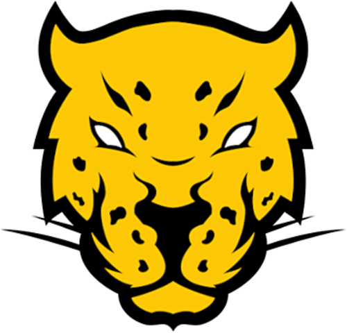 Jogadores(as) da equipe Jaguares