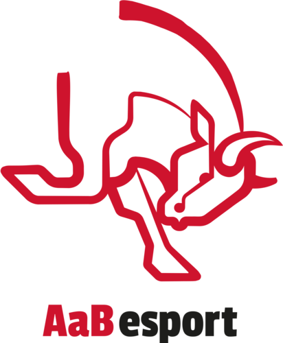 Jogadores(as) da equipe AaB esport