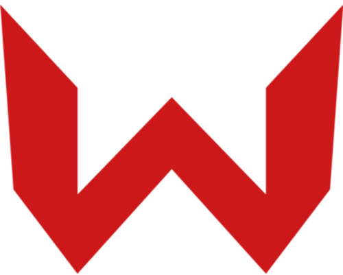 Logo do time World Game Star