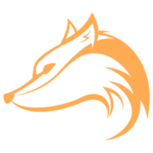 Jogadores(as) da equipe Foxed Gaming