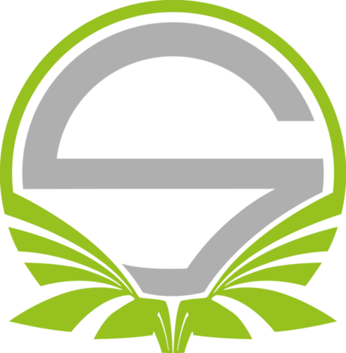 Team Singularity