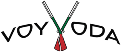 Jogadores(as) da equipe VOYVODA