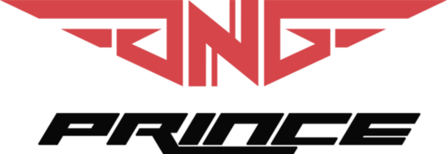 Logo do time GOnGO Prince