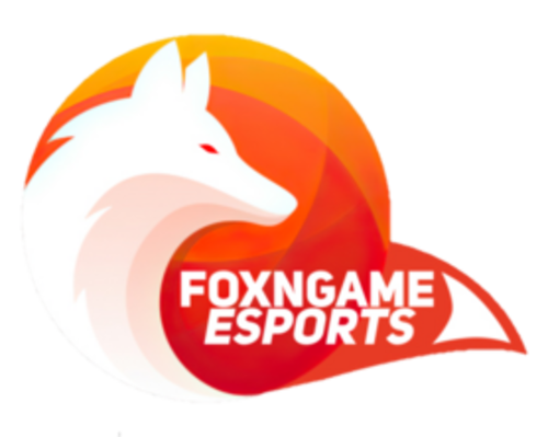 FOXNGAME eSports
