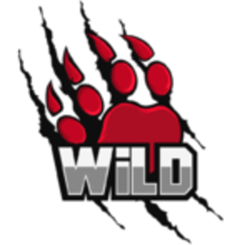 Jogadores(as) da equipe WiLD MultiGaming