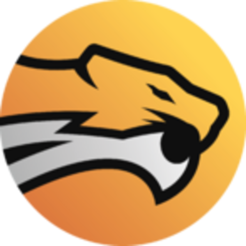 Jogadores(as) da equipe Wild Esports