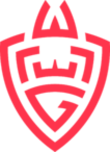 Jogadores(as) da equipe WLGaming Esports