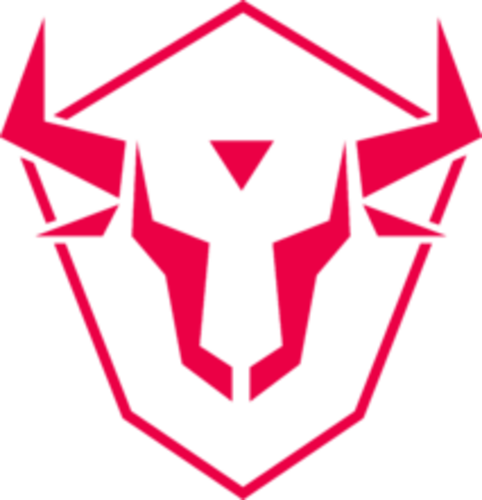 Jogadores(as) da equipe W7M Gaming Fe