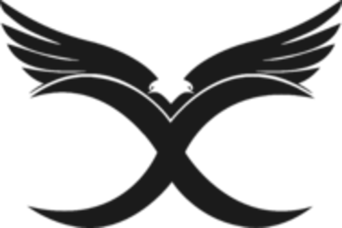 Jogadores(as) da equipe X