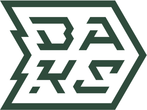 Jogadores(as) da equipe BakS eSports