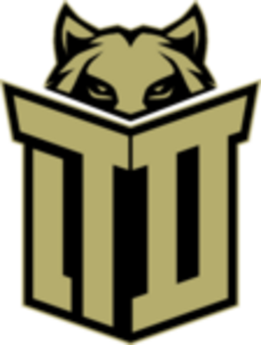 Jogadores(as) da equipe Team Demiral