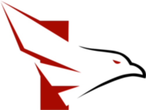 Jogadores(as) da equipe FALKE ESPORTS