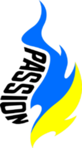 Jogadores(as) da equipe Passion UA