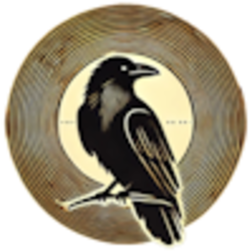 Jogadores(as) da equipe vagrants