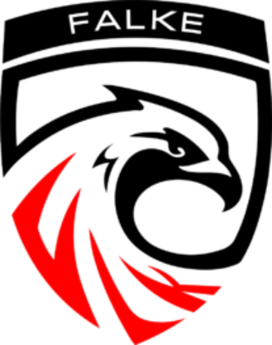logo de la team FALKE Esports