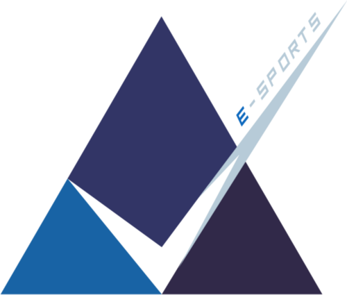 Jogadores(as) da equipe Permitta W