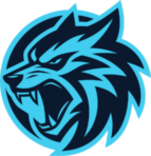 Jogadores(as) da equipe Nomads