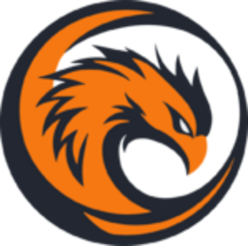 Jogadores(as) da equipe Phoenix