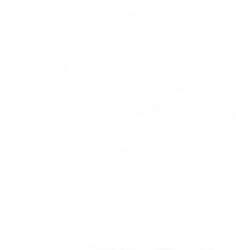 Jogadores(as) da equipe Qiang