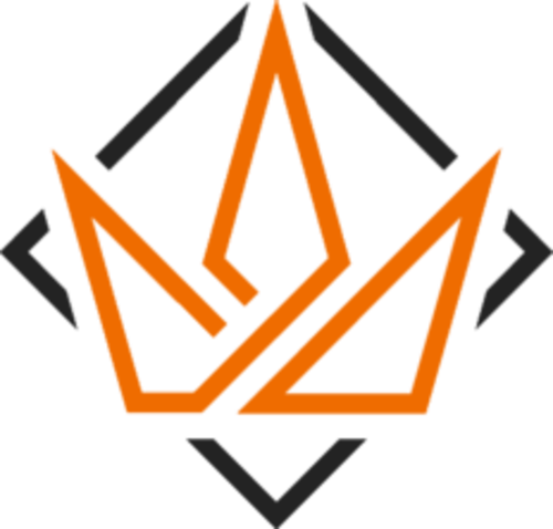 Jogadores(as) da equipe Regnum4Games