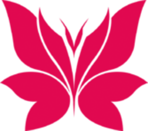 Jogadores(as) da equipe Lotus fe