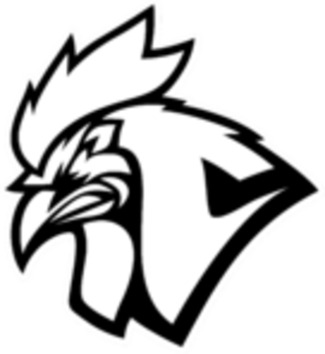 Jogadores(as) da equipe Chicken Coop Esports