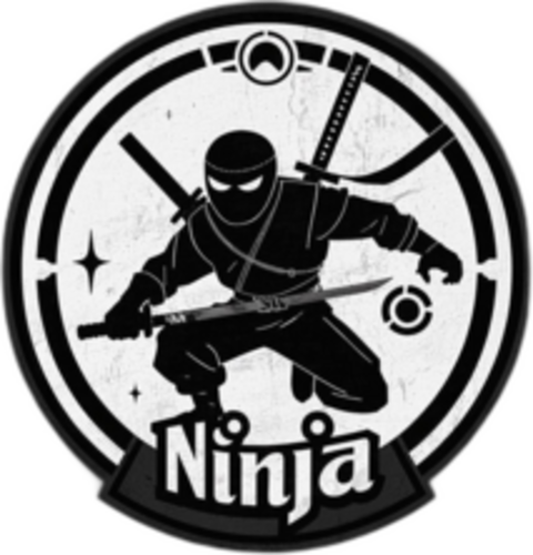 Jogadores(as) da equipe NinJa