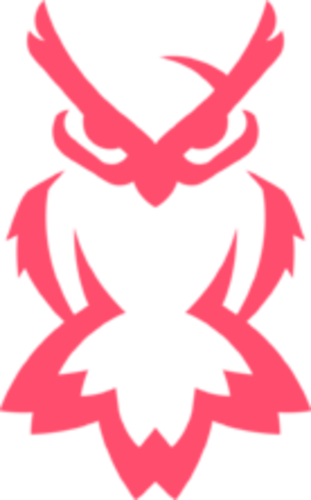 Jogadores(as) da equipe Nocturnal Esports