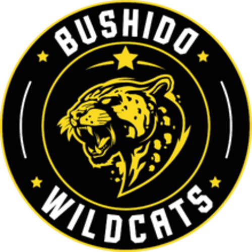 Jogadores(as) da equipe Bushido Wildcats