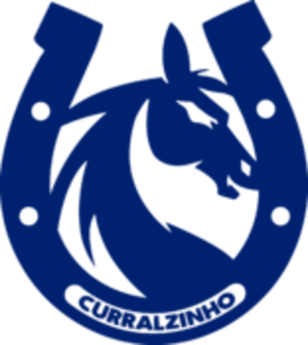 Logo do time Curralzinho Sync