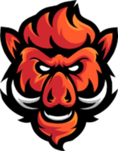 Logo do time Boars Gaming