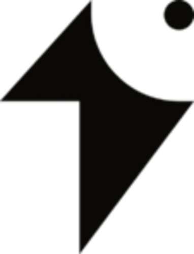 Jogadores(as) da equipe Outfit 49