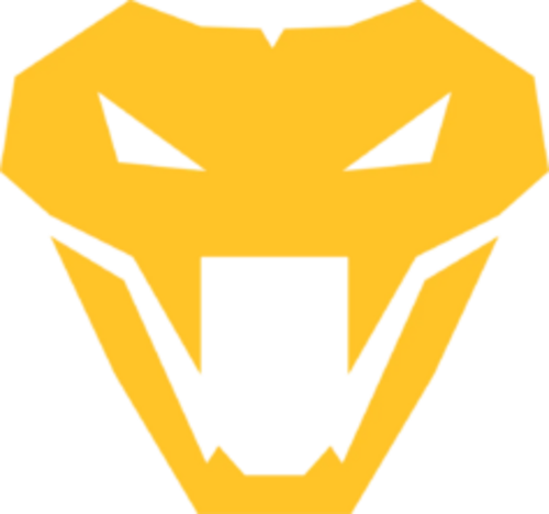 Jogadores(as) da equipe Venom