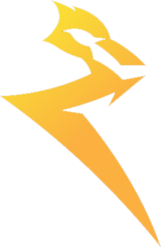 Raion Esports