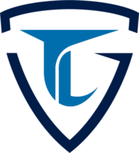 Logo do time Team LEISURE