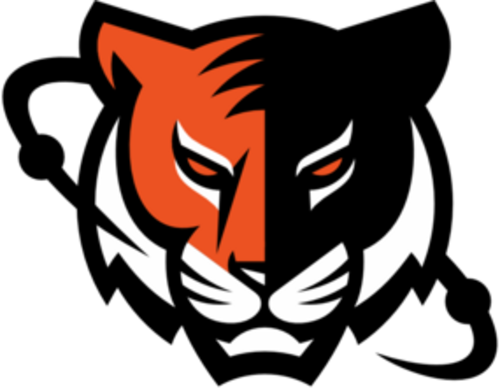 Jogadores(as) da equipe Young TigeRES