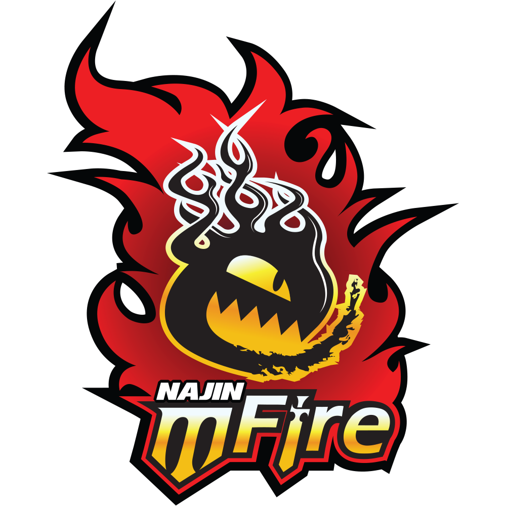 NaJin e-mFire