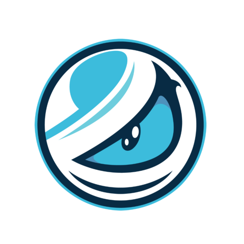 Jogadores(as) da equipe Luminosity