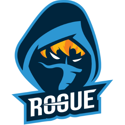 Jogadores(as) da equipe Rogue